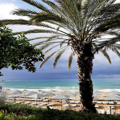 Pracownia Turystyczna Majcher & Fiołka